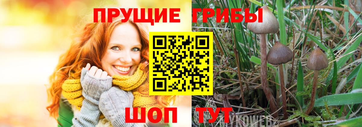 Галлюциногенные грибы Magic Shrooms Зеленогорск