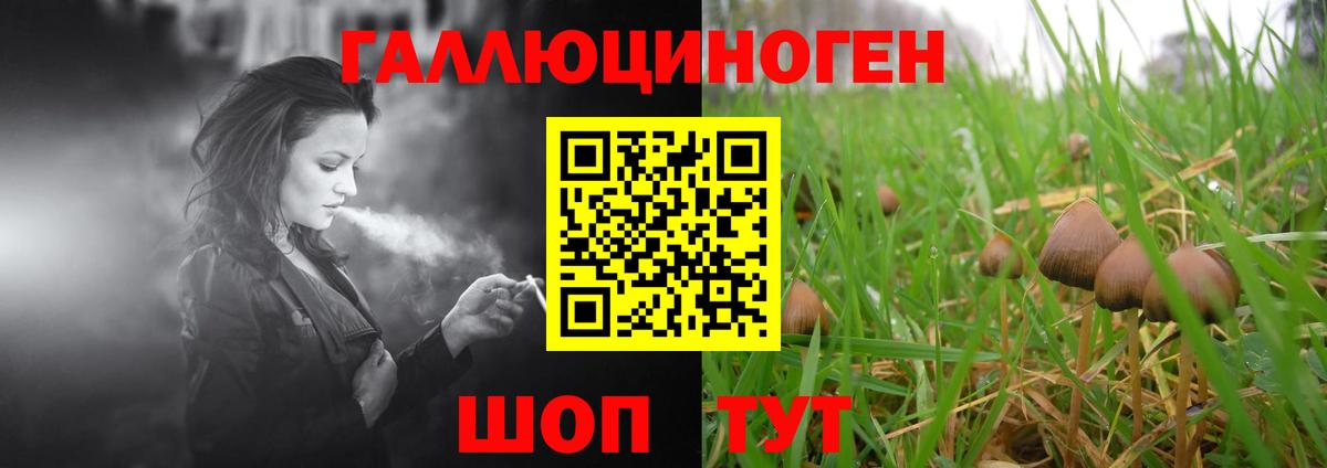 купить наркотик  Псилоцибиновые грибы Magic Shrooms  Вход с VPN  Зеленогорск  Галлюциногенные грибы мицелий 